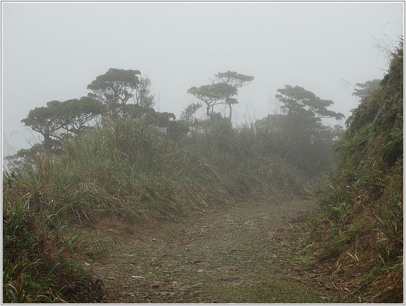 2015-03-02 10-08-20往浸水營古道途中.JPG